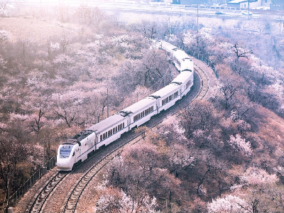 �н���·S2�������ͻ����г�