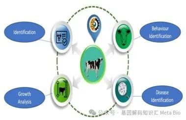 20250722144927642764