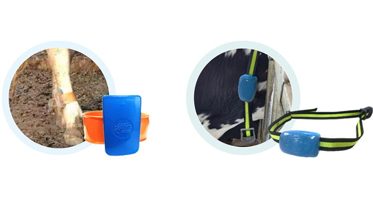 Ӣ��������ϣ��(WilliamHill)���Ĺٷ���վ