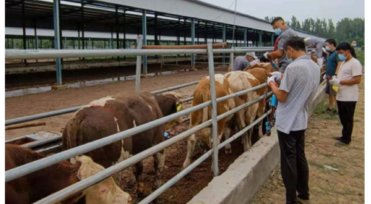 Ӣ��������ϣ��(WilliamHill)���Ĺٷ���վ