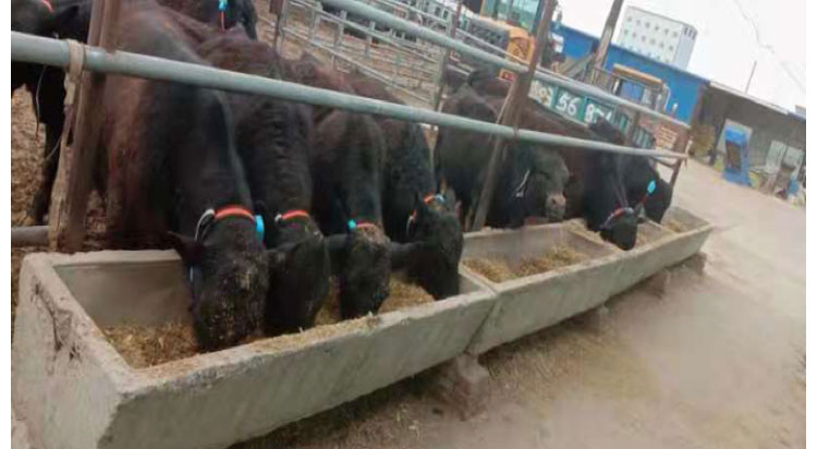 Ӣ��������ϣ��(WilliamHill)���Ĺٷ���վ